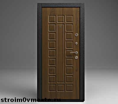 железная дверь
